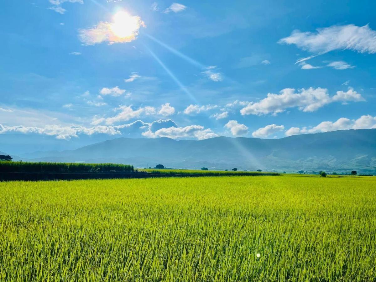 關山稻香田園民宿 Haiduan Exterior photo